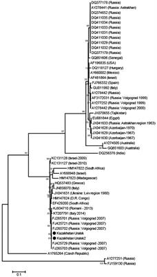 Phylogenetic Characteristics of West Nile Virus Isolated From Culex modestus Mosquitoes in West Kazakhstan